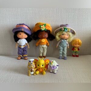 Strawberry shortcake friends